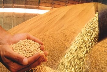 safra-agricola-deve-ser-87-menor-em-2009