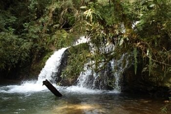 parana-tera-novo-parque-estadual
