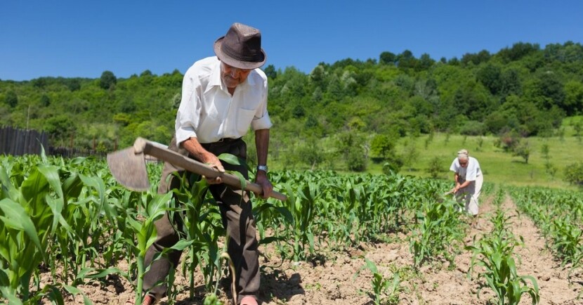 juiz-autoriza-cartorios-a-escriturar-e-matricular-lotes-rurais-inferiores-a-20-mil-m-destinados-a-agricultura-familiar