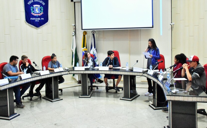 camara-jovem-discute-sistema-de-triagem-por-cores-para-o-atendimento-de-pacientes-na-rede-publica-municipal