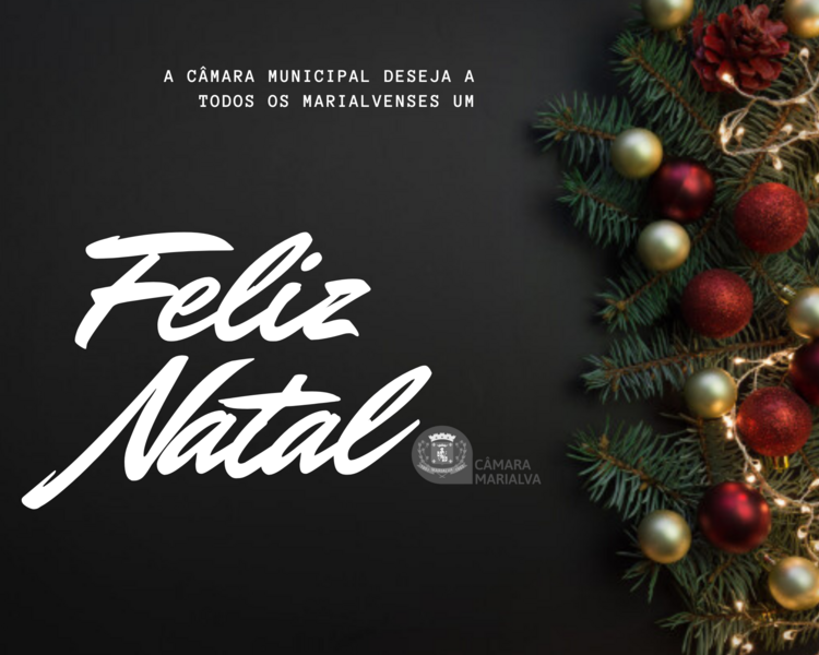 camara-entra-em-recesso-de-final-de-ano