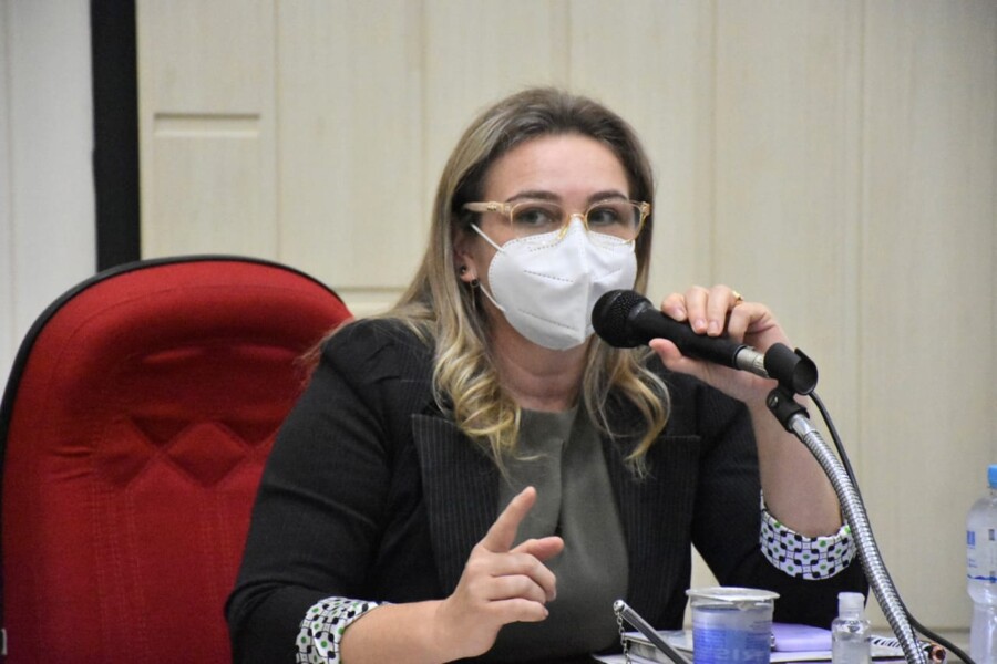 em-terceira-e-ultima-discussao-vereadores-aprovam-a-criacao-da-procuradoria-da-mulher-na-camara-de-marialva