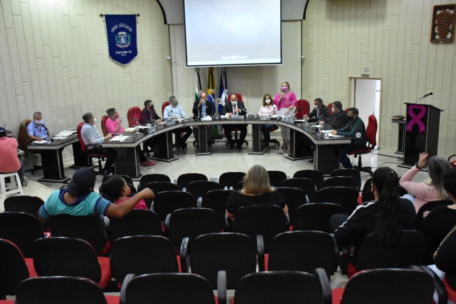 abertura-da-campanha-outubro-rosa-reune-mulheres-que-venceram-a-luta-do-cancer-de-mama-no-plenario-da-camara