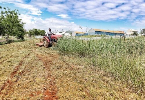 projeto-de-lei-altera-valor-da-multa-para-casos-de-terreno-com-lixo-e-mato-alto
