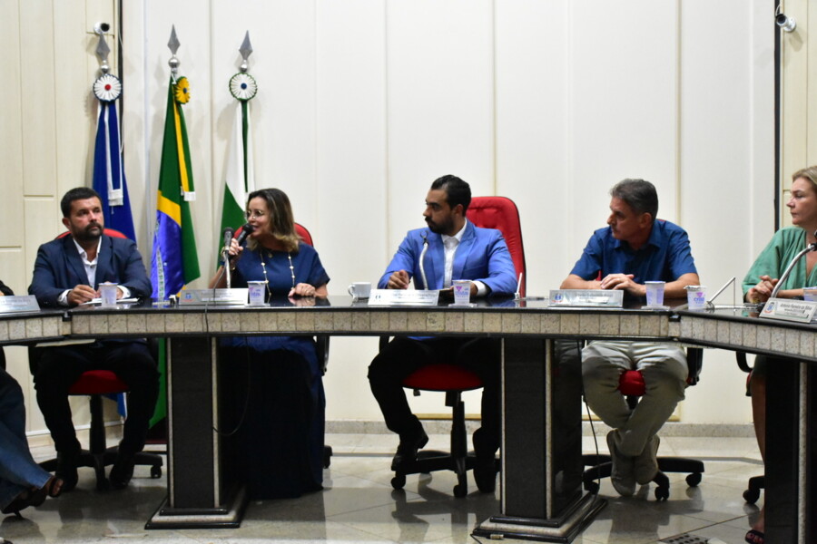 prefeita-flavia-cheroni-participa-da-primeira-sessao-ordinaria-do-ano-na-camara-de-marialva
