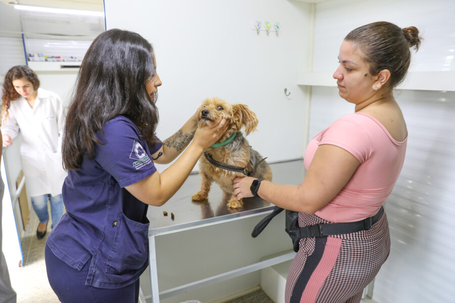 projeto-de-lei-propoe-aumento-de-carga-horaria-e-salario-para-cargo-de-medico-veterinario