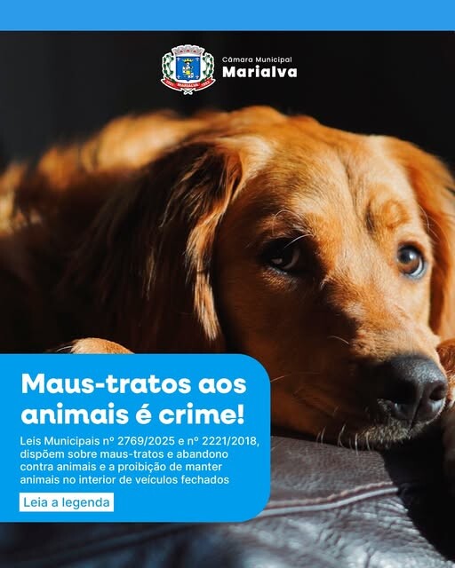 Maltratar animais é crime!